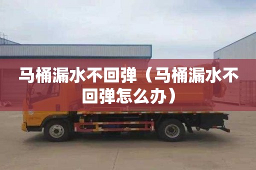 马桶漏水不回弹（马桶漏水不回弹怎么办）