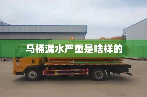马桶漏水严重是啥样的