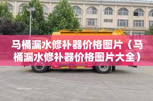 马桶漏水修补器价格图片（马桶漏水修补器价格图片大全）
