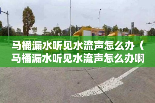 马桶漏水听见水流声怎么办（马桶漏水听见水流声怎么办啊）