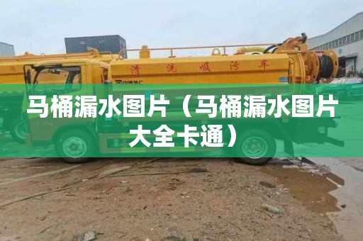 马桶漏水图片（马桶漏水图片大全卡通）