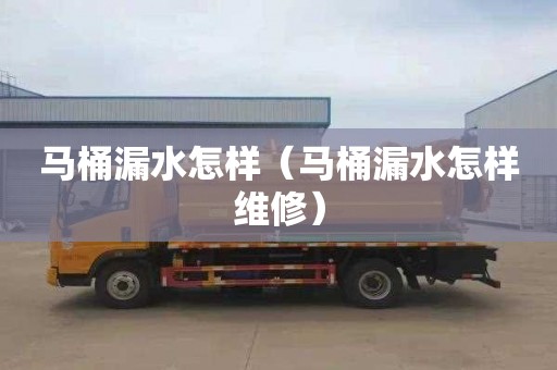马桶漏水怎样（马桶漏水怎样维修）