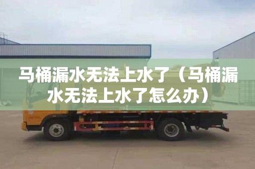 马桶漏水无法上水了（马桶漏水无法上水了怎么办）