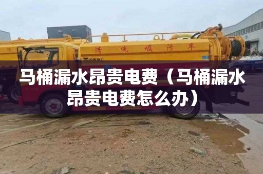 马桶漏水昂贵电费（马桶漏水昂贵电费怎么办）