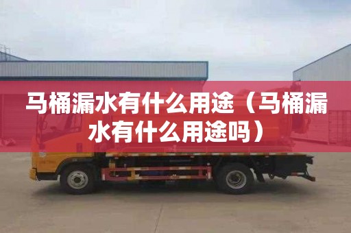 马桶漏水有什么用途（马桶漏水有什么用途吗）
