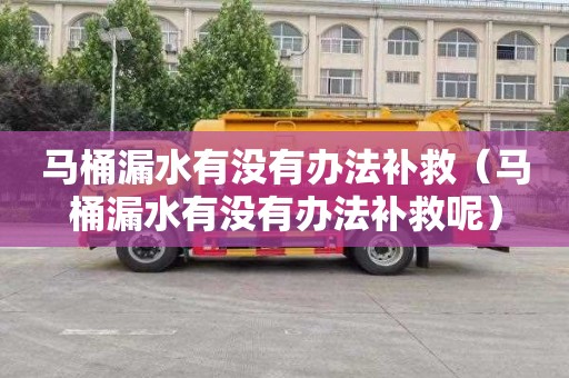马桶漏水有没有办法补救（马桶漏水有没有办法补救呢）