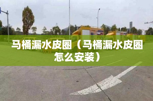 马桶漏水皮圈（马桶漏水皮圈怎么安装）