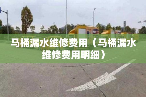 马桶漏水维修费用（马桶漏水维修费用明细）