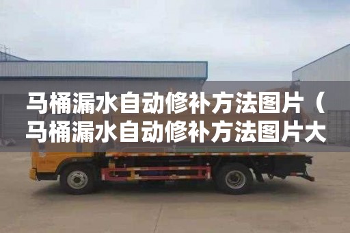 马桶漏水自动修补方法图片（马桶漏水自动修补方法图片大全）