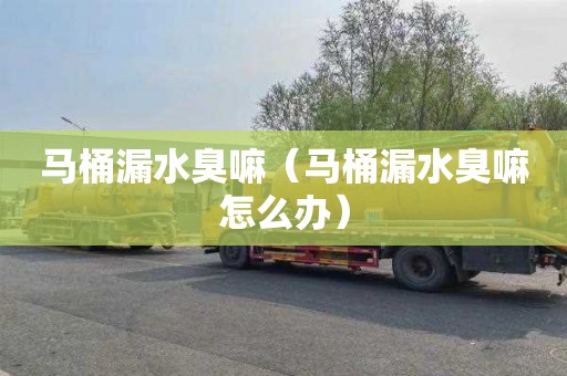 马桶漏水臭嘛（马桶漏水臭嘛怎么办）