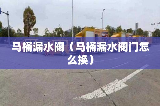 马桶漏水阀（马桶漏水阀门怎么换）
