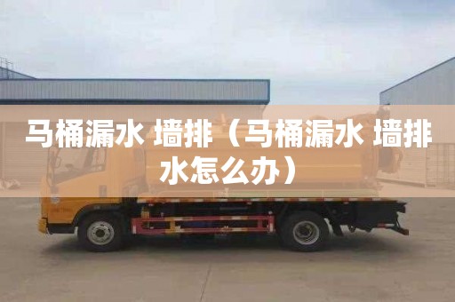 马桶漏水 墙排（马桶漏水 墙排水怎么办）