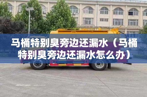马桶特别臭旁边还漏水（马桶特别臭旁边还漏水怎么办）