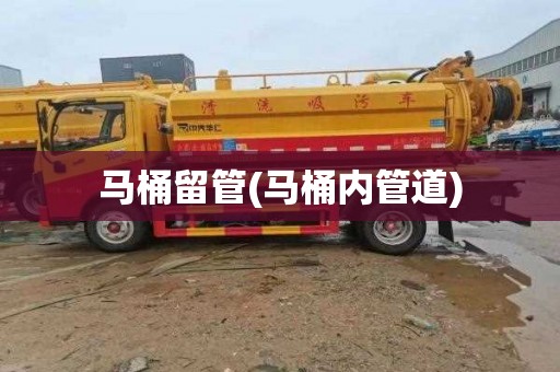 马桶留管(马桶内管道)