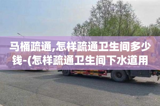 马桶疏通,怎样疏通卫生间多少钱-(怎样疏通卫生间下水道用什么方法最好)
