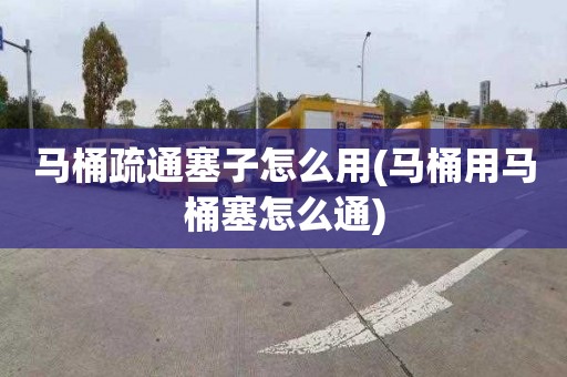 马桶疏通塞子怎么用(马桶用马桶塞怎么通)