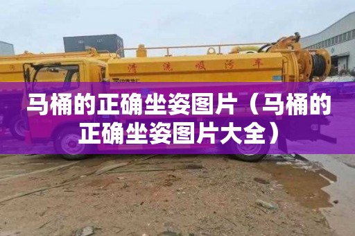 马桶的正确坐姿图片（马桶的正确坐姿图片大全）