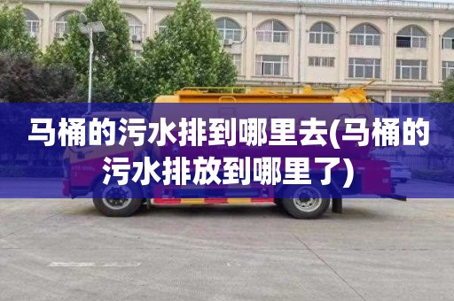 马桶的污水排到哪里去(马桶的污水排放到哪里了)