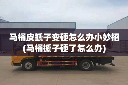 马桶皮搋子变硬怎么办小妙招(马桶搋子硬了怎么办)