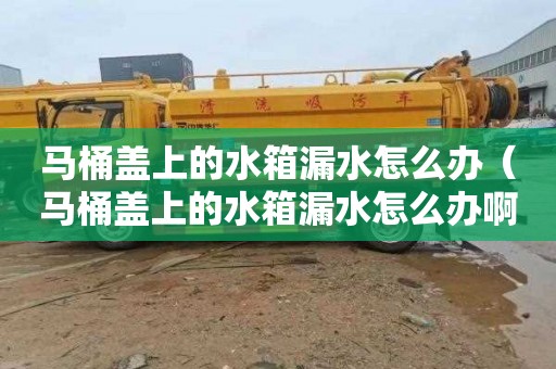 马桶盖上的水箱漏水怎么办（马桶盖上的水箱漏水怎么办啊）