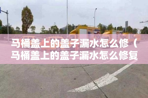 马桶盖上的盖子漏水怎么修（马桶盖上的盖子漏水怎么修复）