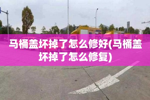 马桶盖坏掉了怎么修好(马桶盖坏掉了怎么修复)