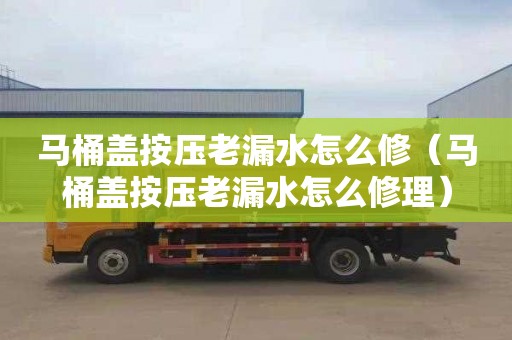 马桶盖按压老漏水怎么修（马桶盖按压老漏水怎么修理）