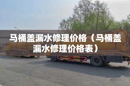 马桶盖漏水修理价格（马桶盖漏水修理价格表）