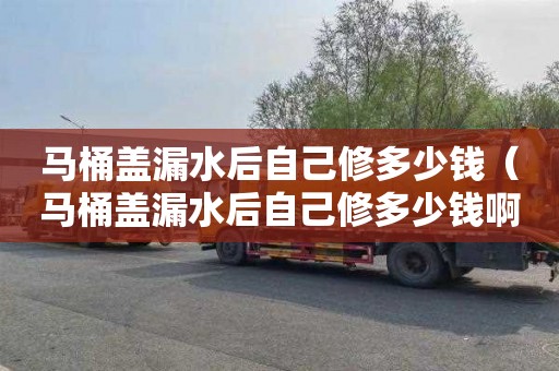 马桶盖漏水后自己修多少钱（马桶盖漏水后自己修多少钱啊）