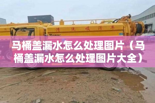 马桶盖漏水怎么处理图片（马桶盖漏水怎么处理图片大全）