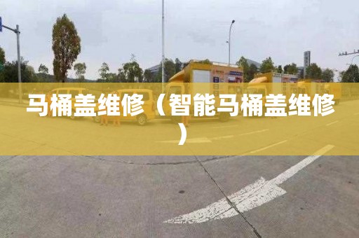 马桶盖维修（智能马桶盖维修）