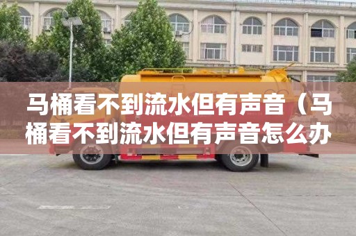 马桶看不到流水但有声音（马桶看不到流水但有声音怎么办）