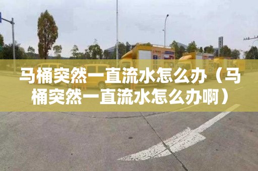 马桶突然一直流水怎么办（马桶突然一直流水怎么办啊）