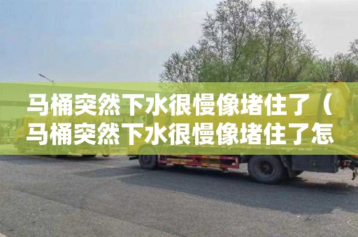 马桶突然下水很慢像堵住了（马桶突然下水很慢像堵住了怎么办）