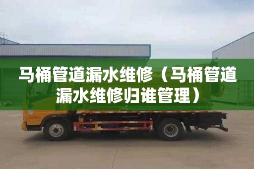 马桶管道漏水维修（马桶管道漏水维修归谁管理）