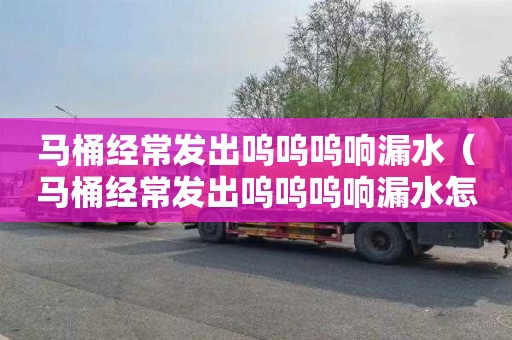 马桶经常发出呜呜呜响漏水（马桶经常发出呜呜呜响漏水怎么办）
