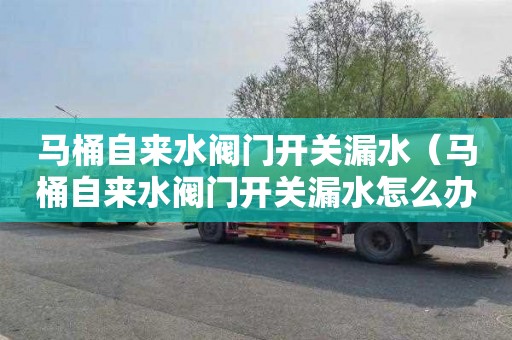 马桶自来水阀门开关漏水（马桶自来水阀门开关漏水怎么办）
