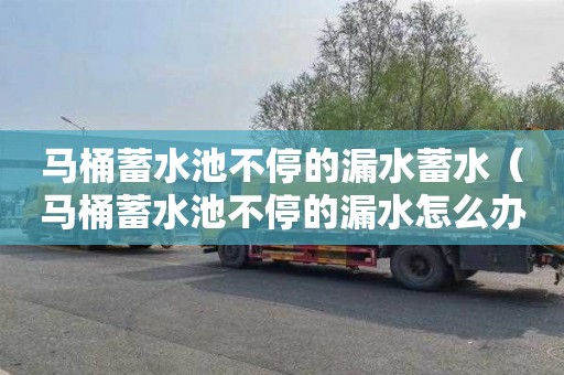 马桶蓄水池不停的漏水蓄水（马桶蓄水池不停的漏水怎么办）