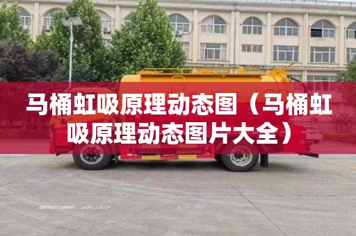 马桶虹吸原理动态图（马桶虹吸原理动态图片大全）