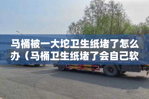 马桶被一大坨卫生纸堵了怎么办（马桶卫生纸堵了会自己软化吗）