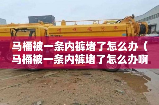 马桶被一条内裤堵了怎么办（马桶被一条内裤堵了怎么办啊）