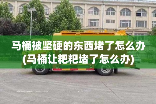 马桶被坚硬的东西堵了怎么办(马桶让粑粑堵了怎么办)