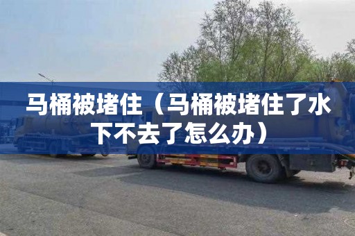 马桶被堵住（马桶被堵住了水下不去了怎么办）
