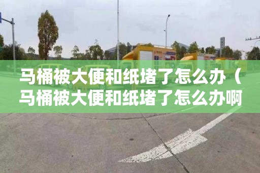马桶被大便和纸堵了怎么办（马桶被大便和纸堵了怎么办啊）