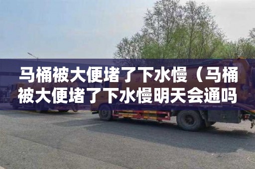 马桶被大便堵了下水慢（马桶被大便堵了下水慢明天会通吗）