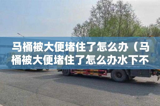 马桶被大便堵住了怎么办（马桶被大便堵住了怎么办水下不下去）