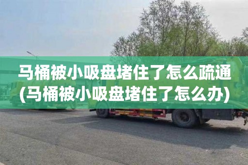 马桶被小吸盘堵住了怎么疏通(马桶被小吸盘堵住了怎么办)