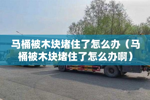 马桶被木块堵住了怎么办（马桶被木块堵住了怎么办啊）