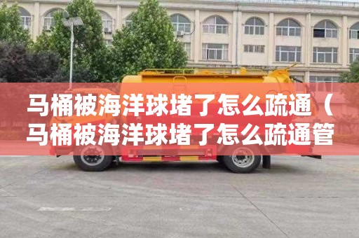 马桶被海洋球堵了怎么疏通（马桶被海洋球堵了怎么疏通管道）