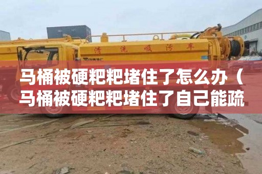 马桶被硬粑粑堵住了怎么办（马桶被硬粑粑堵住了自己能疏通吗）